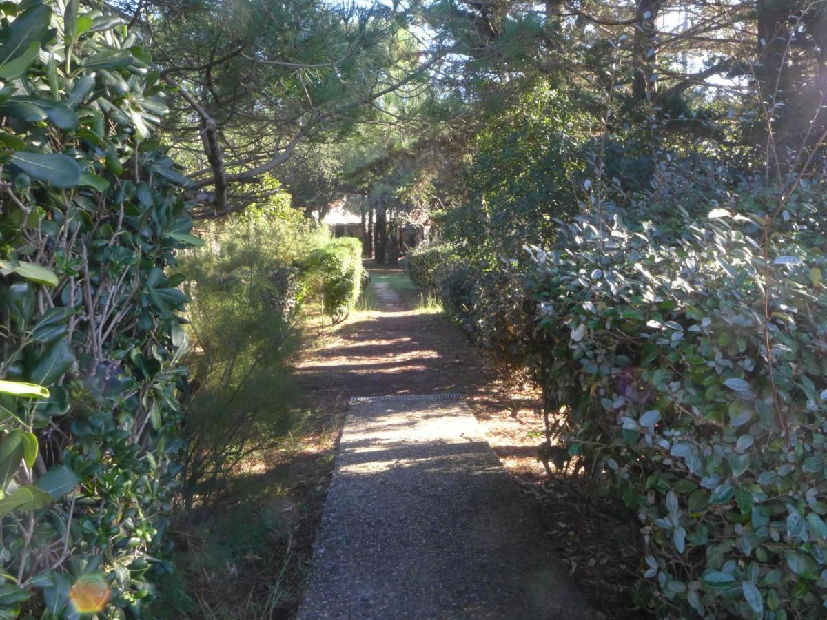 Holiday Home Juncades By Interhome Seignosse Εξωτερικό φωτογραφία